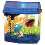 Mini Bow Aquarium - 1 Gallon - Blue