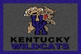 Kentucky Wildcats Area Rug