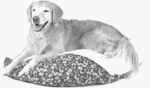 Doskocil #27781 40 Round Cedar Sleeper