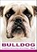   - THE DOG Notecard Vol. 1 - Bulldog