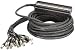 PROCO SNAKE 24 MICS/4 XLR SENDS 100'