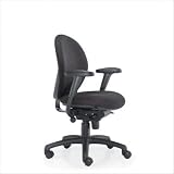 Task Advantage Mid Back Task Chair with T Arms Upholstery: Gavotte Blue 316FDET15gL. SL160 Task Advantage Mid Back Task Chair with T Arms Upholstery: Gavotte Blue