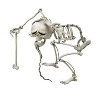 Corpse Bride: Elder Gutknecht Japanese Collection Doll