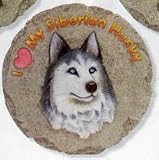 Siberian Husky Stepping Stone