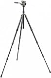 Gitzo GK2520FT Series 2 Safari Traveler Kit