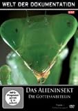 Welt der Dokumentation – Das Alieninsekt – Die Gottesanbeterin