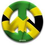 MEYOTO LLC
