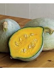 Lawn & Patio: (VSQWHU)~"BABY BLUE HUBBARD" SQUASH~Seed!!~~~~~Semi Bush Variety!