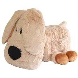 Treasure Chest Accessory Chest Dog