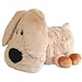 Treasure Chest Accessory Chest Dog