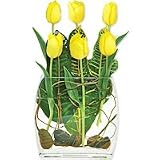 Tulip - Six Bright Tulips