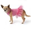 Silver Crown Dog Dress-XL-