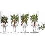 Florida Marketplace Set of Four Glass Palms 18oz