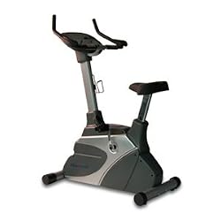 Fitnex B70 Upright Exercise Bike