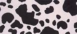 8 Potholder - Cow Hide