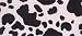 Kitchen & Housewares : 8