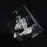 Crystal Impressions Ballet Slippers