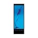 Delphinus Poster Print