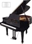 5' Classic Grand Piano (White Polish)