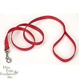 Coastal Pet Nylon Dog Leash Training Lead (Red, 6 ft. L x 3/4 Inch W)