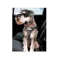 Ancol - Padded Nylon Dog Car Harness - Size - Medium