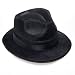 Blues Brothers Fedora Hat