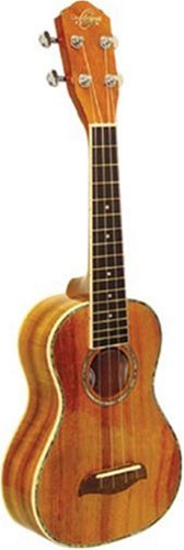 MusicalInstruments: Washburn Koa Ukulele