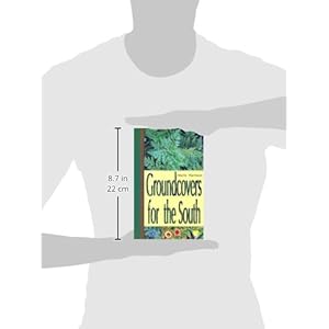Groundcovers for the South