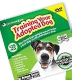 Training Your Adopted Dog