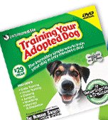 Training Your Adopted Dog