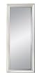Antique Silver Champagne Leaning Mirror By Coaster Furniture