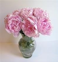 Fragrant Light Pink Peonies Fresh Flower Bouquet
