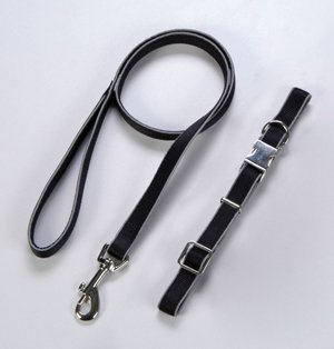 Set Hundeleine und Halsband reflektierend schwarz, 25mm