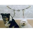 Dog Grooming Horizontal Tub 3 Loop Bathing Restraint
