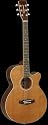 Tanglewood Evolution TSeries TSFCE N electro-acoustic guitar