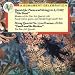 Classical Music : Schubert: Trout Quintet/Death and the Maiden Quartet