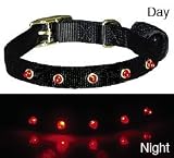 COASTAL PET PRODUCTS LIGHTED DOG COLLAR BLACK 16-20 inch