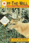 Off-The-Wall: A Graduate Course in Deer Hunting