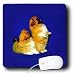 Dogs Pekingese - Pekingese - Mouse Pads
