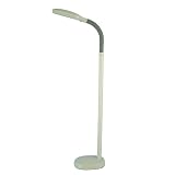 Grandrich Full Spectrum One-Light Floor Lamp, Gray #ES-101N