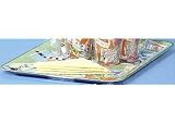 Tropix Destination Florida Rectangular Tray