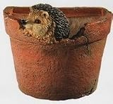 CHEERY ORNAMENTAL HEDGEHOG GARDEN WALL POT