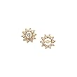 14K Yellow/White Gold 5/8 ct. Diamond Earring Jackets
