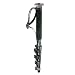 Photo : Manfrotto 695 5-Section Monopod
