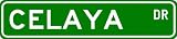 CELAYA Street Sign ~ Personalized Family Lastname Sign ~ Gameroom, Basement, Garage Sign **