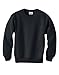Hanes Youth Black Long Sleeve Crewneck Pullover Sweater