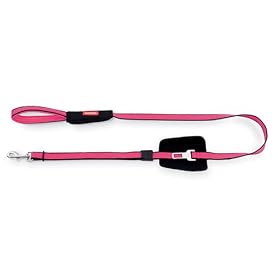 Bamboo Quick Control 6-Foot Leash with Seat Belt Latch