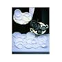 SEPSMWGNP70600 - Plastic 1 Compartment Plate - 6