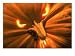 Close-up of Jack O'Lantern, Photographic Poster Print by Shmuel Thaler, 24x18
