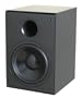 Now Hear This SW10 II 10-Inch Subwoofer